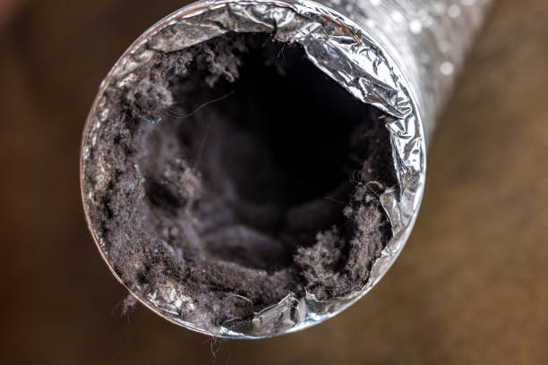 Best HVAC Air Duct Cleaning  in Brocton, NY
