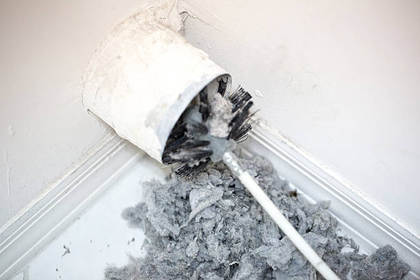 Best Air Duct Mold Removal  in Brocton, NY